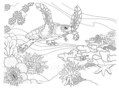 Coral Reef Coloring Page
