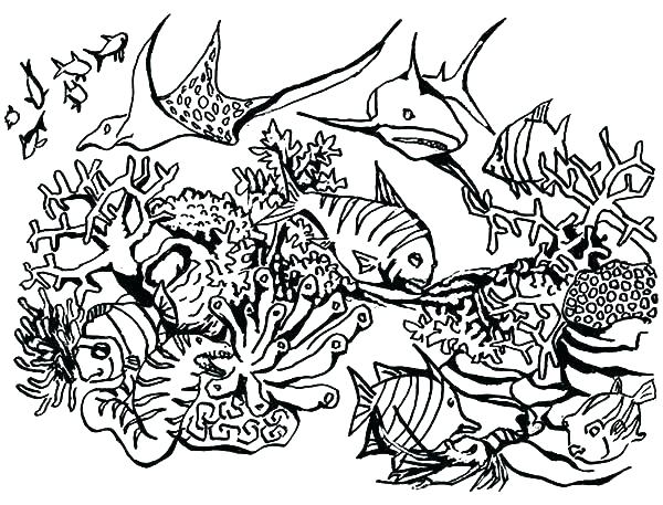 600x457 Coral Reef Coloring Page Coral Reef Coloring Pages Coral Reef