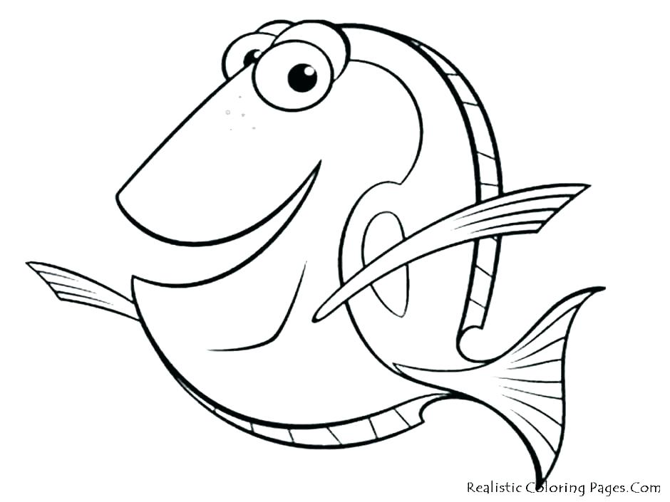 940x705 Coral Reef Coloring Sheet Coral Reef Coloring Page Pages Sheet