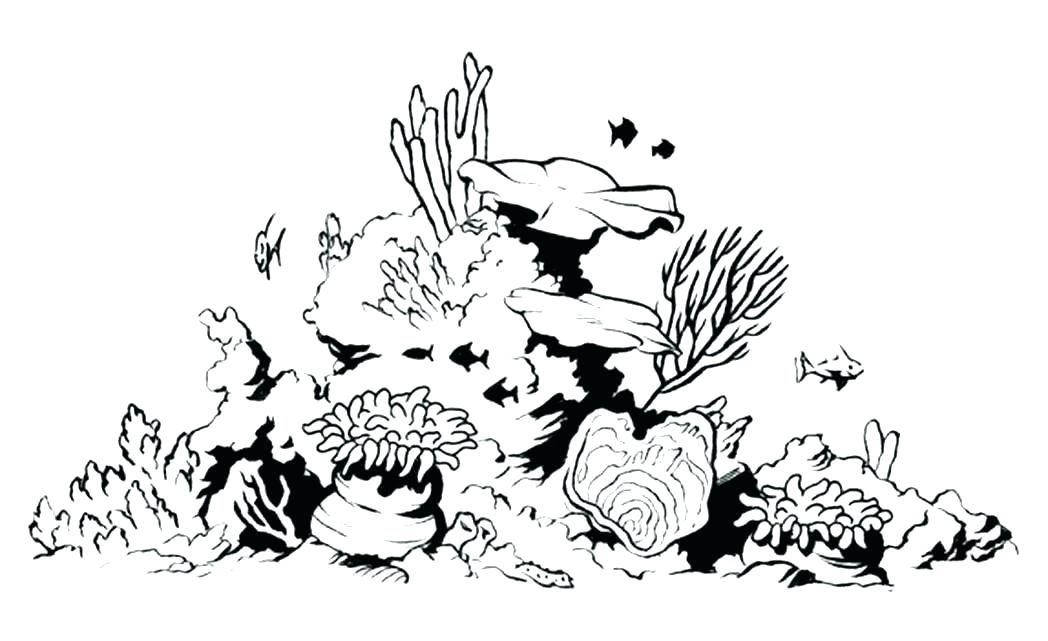 1048x641 Coral Reef Coloring Page Icontent
