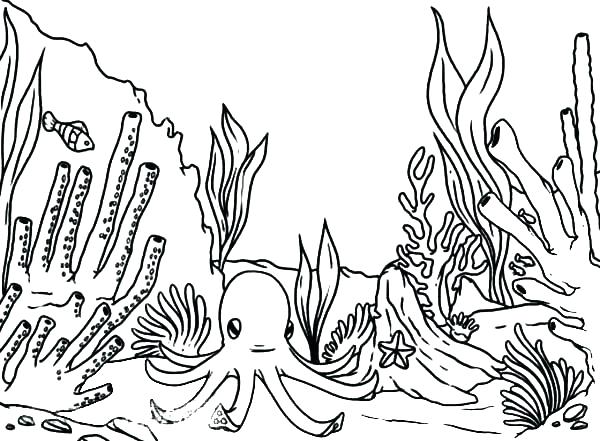 600x441 Coral Reef Coloring Pages Drawn Coral Reef Coloring Page 5 Coral
