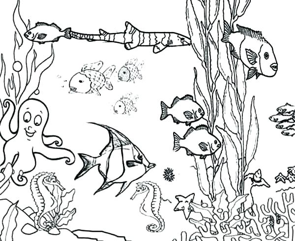 600x490 Coral Coloring Pages Ocean Fish Coloring Pages Ocean Plants Among