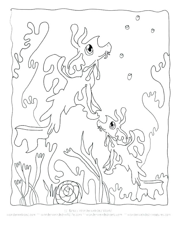 612x792 Coral Coloring Pages Coral Reef Coloring Pages For Kids Coral