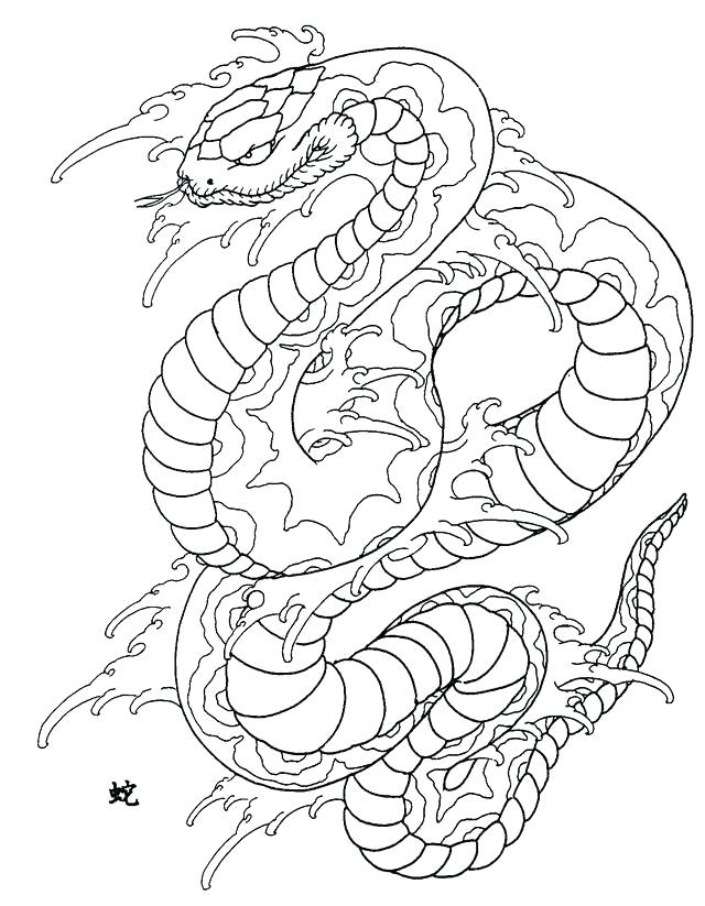 640x823 Coral Snake Coloring Page Printable Coloring Snake Coloring Sheet
