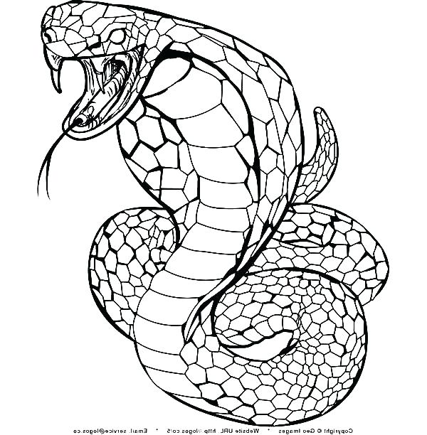 600x612 Coral Snake Coloring Sheet Printable Coloring Cobra Coloring Page