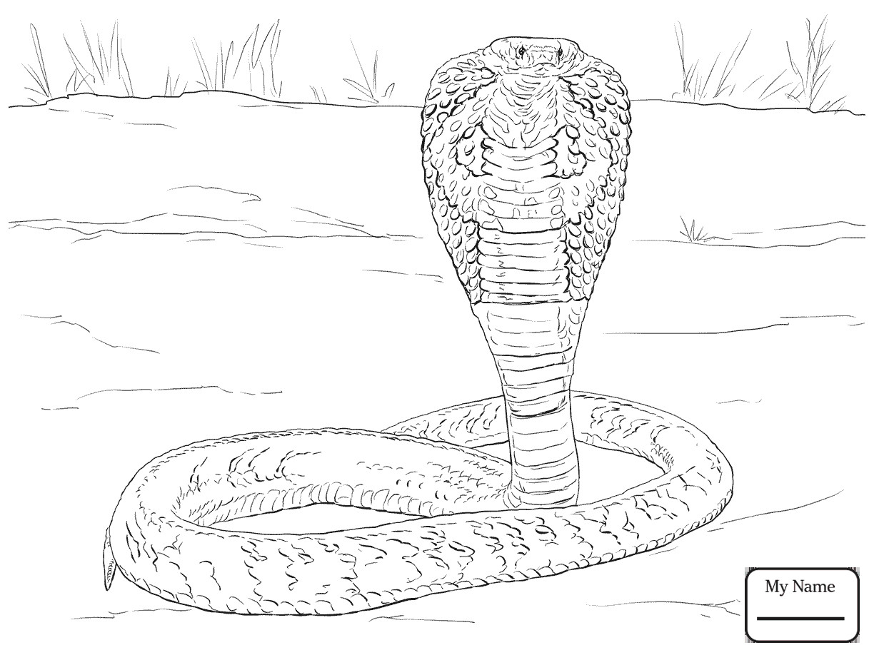 1224x918 Realistic Snakes Reptiles California King Snake Coloring Pages