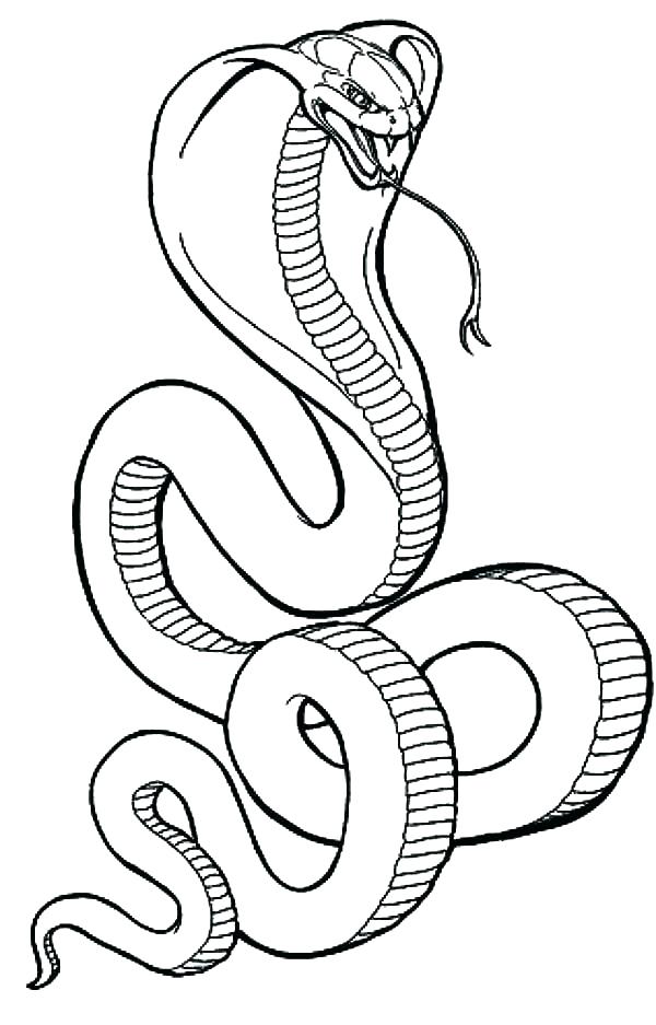 600x937 Snake Coloring Page Coloring Pages Of Snakes Coloring Pages Snakes