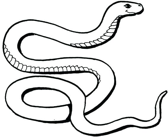 567x463 Snake Coloring Pages Coloring Pages Of Snakes Snake Coloring Pages