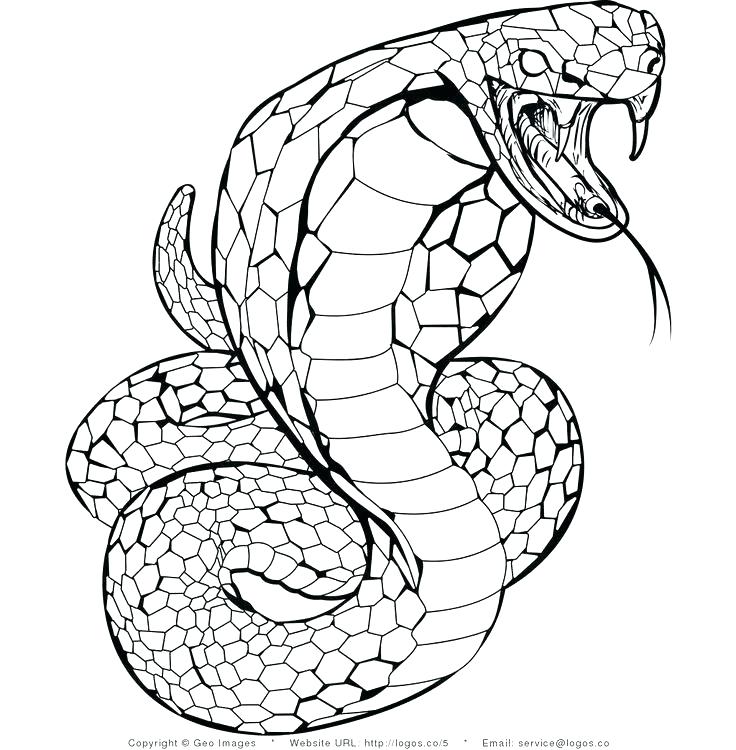 736x750 Snake Coloring Sheet