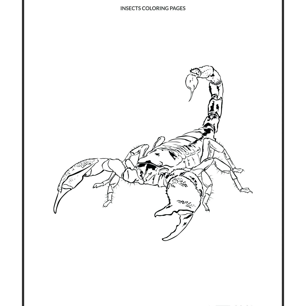 1224x1224 Corduroy Coloring Page Chuckbutt With Bear