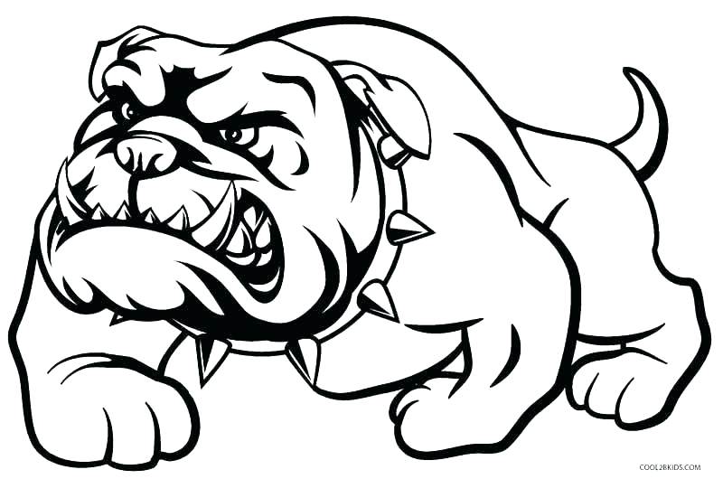800x530 Corgi Coloring Pages French Bulldog Coloring Pages Top Rated