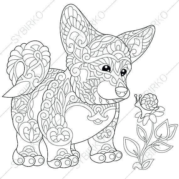570x570 Corgi Colouring Pages Corgi Coloring Pages Corgi Coloring Pages