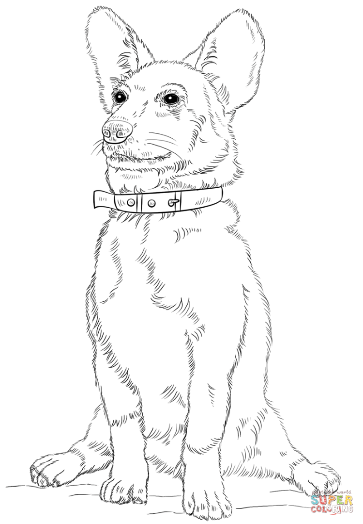 750x1080 Corgi Coloring Pages Download And Print For Free