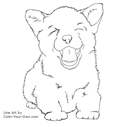 500x500 Lovely Corgi Coloring Pages Coloring Ws