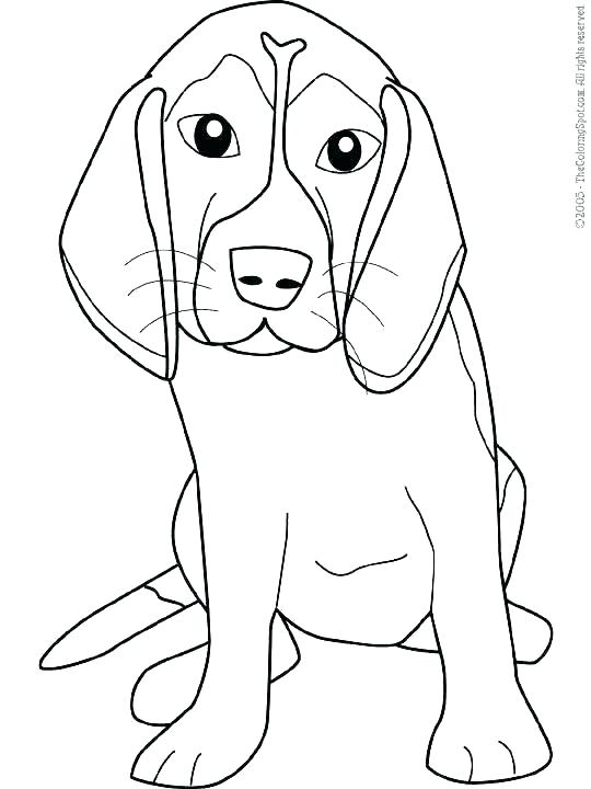 540x720 Corgi Coloring Pages