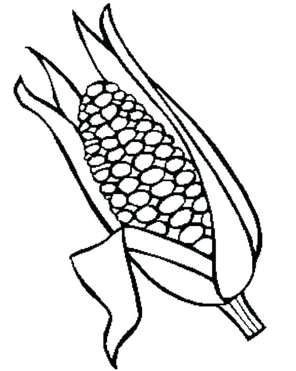 600x752 Corn Coloring Pages Corn Coloring Sheets Page Of Pages Corn