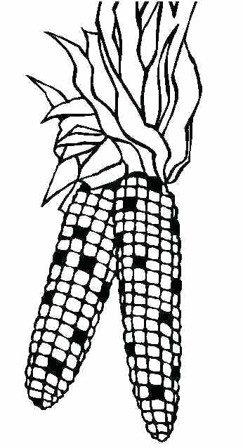 346x638 Jelly Bean Coloring Page Corn Coloring Sheets Free Jelly Bean Jar