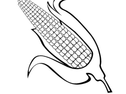 Corn Field Coloring Page