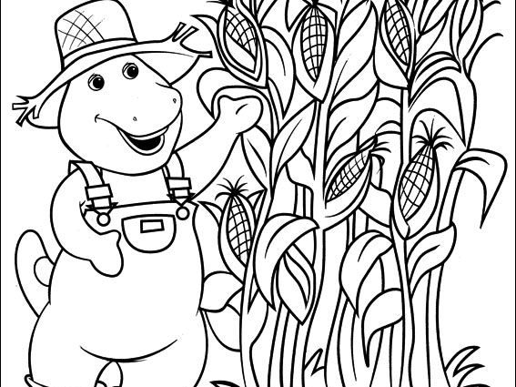 567x425 Exelent Cornfield Coloring Page Picture Collection