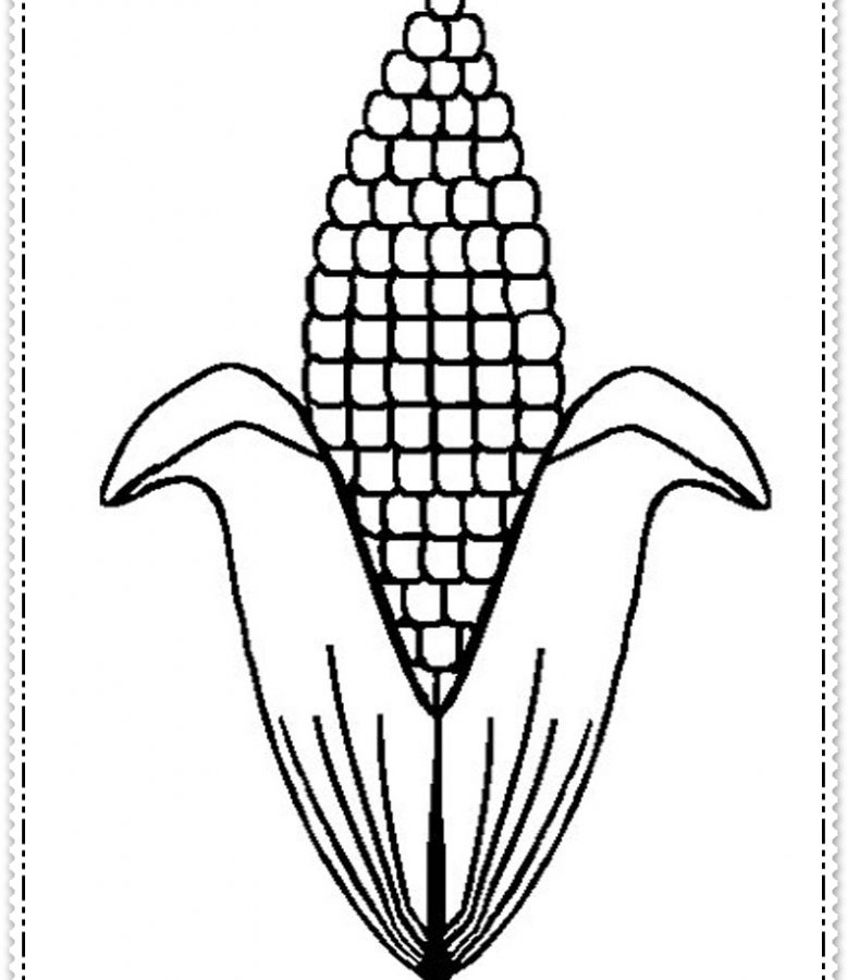 778x900 Amazing Coloringges Corn For Kids Stalks Cornucopia Preschool