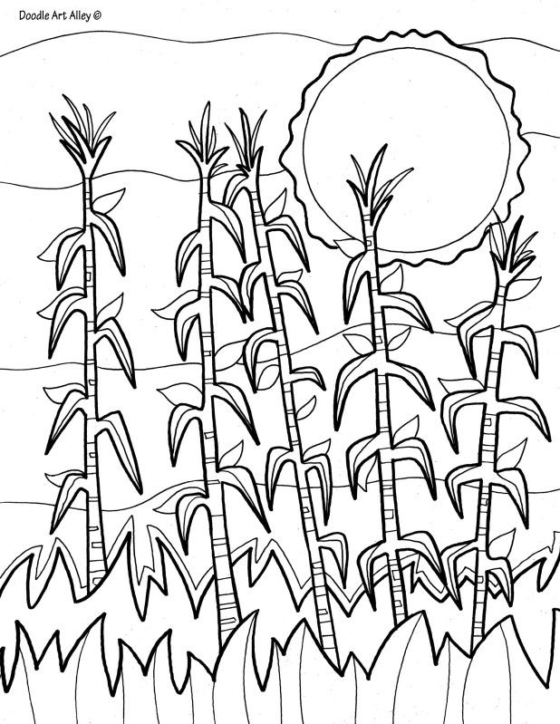 618x799 Corn Field Coloring Page 30 Best Adult Coloring Pages Images