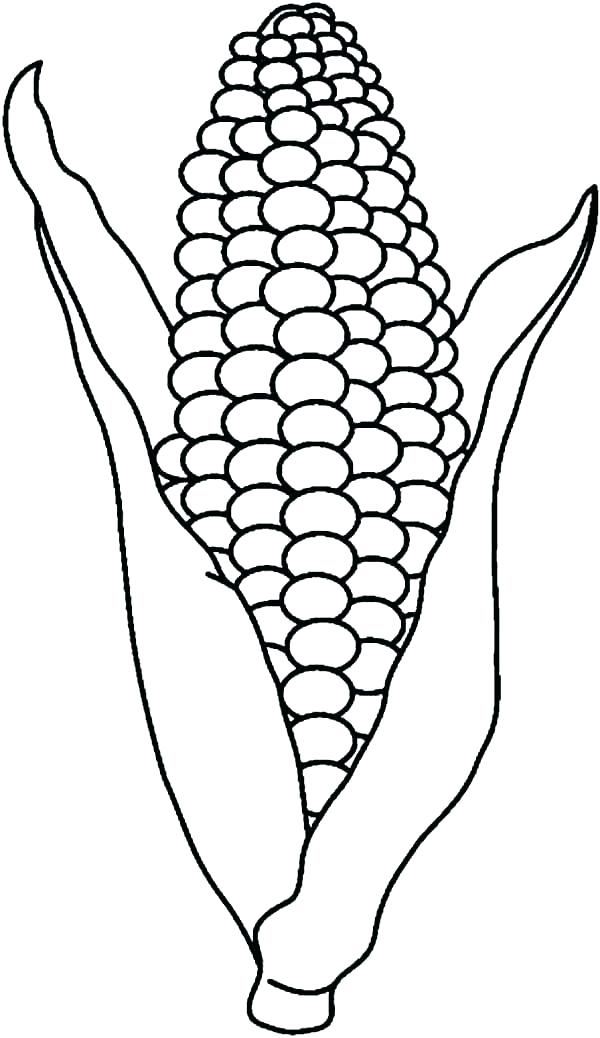 600x1038 Corn Stalk Coloring Page