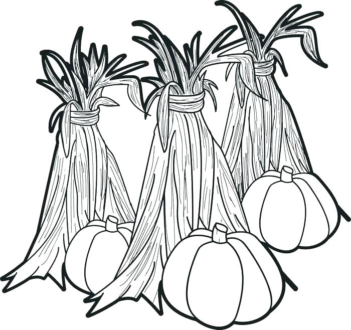 700x658 Coloring Picture Of Corn Corn Coloring Pages Indian Corn Coloring