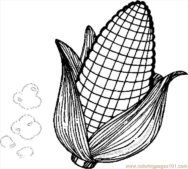 650x586 Corn 3 Coloring Page