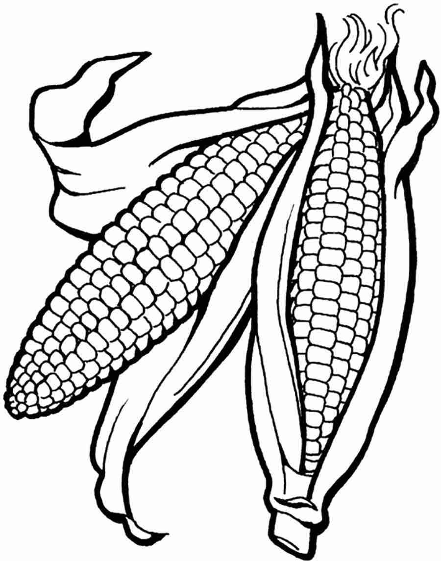 900x1145 Corn Template Indian Fall Pumpkins Also On The Cob Coloring Page