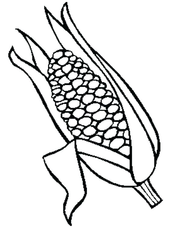 600x752 Drawing Corn Cob Coloring Page Coloring Sun Drawing Corn Cob