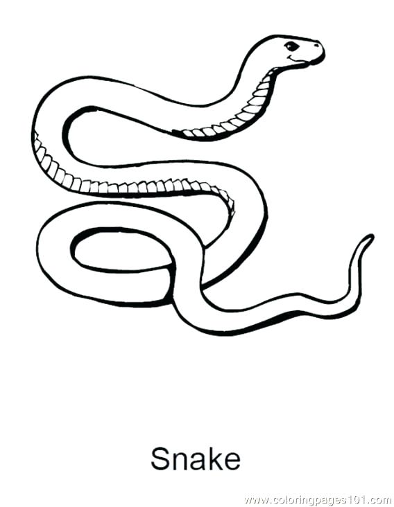 568x732 Coloring Page Of Corn Coloring Pages Snakes Snake Coloring Page