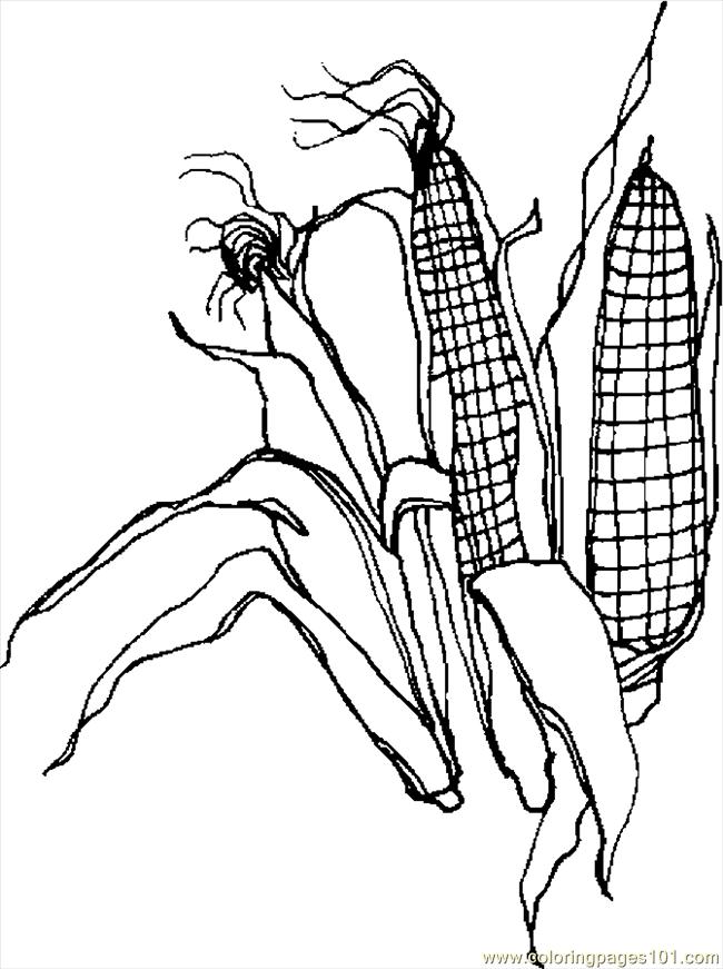 650x871 Corn Stalk Coloring Pages Many Interesting Cliparts