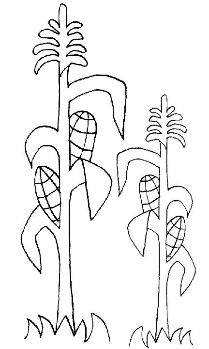 432x720 Peyton Manning Coloring Pages Corn Stalk Coloring Page