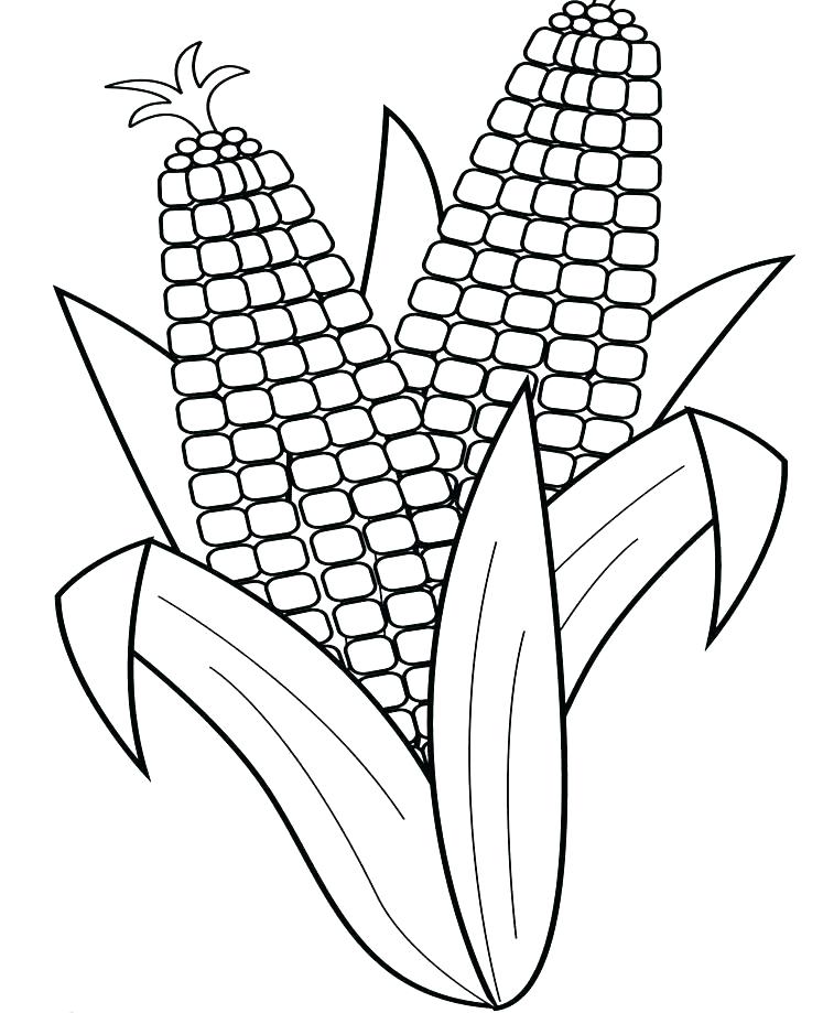 747x919 Corn Color Page S Corn Stalk Color Page