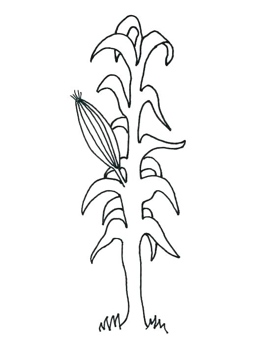 541x700 Popcorn Printable