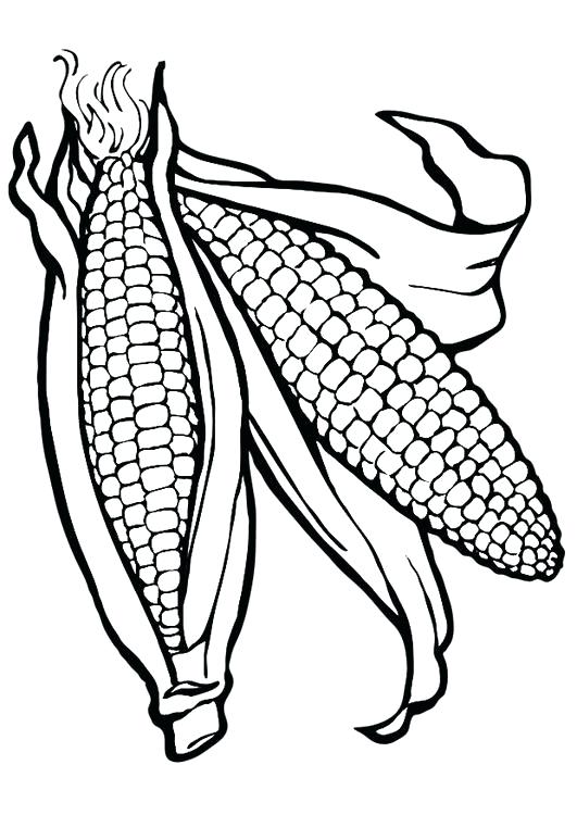 531x750 Corn Coloring Page Free Printable Corn Stalks Coloring Pages