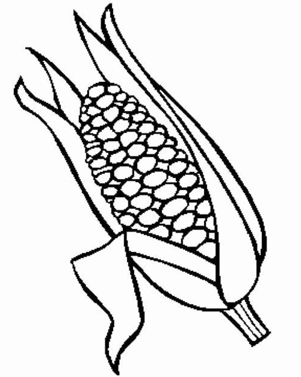 600x752 Corn Coloring Pages Fresh Corn Stalk Coloring Pages Coloring Home
