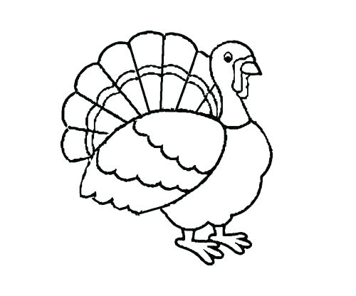500x416 Cornucopia Pictures To Color Contributor Free Cornucopia Coloring