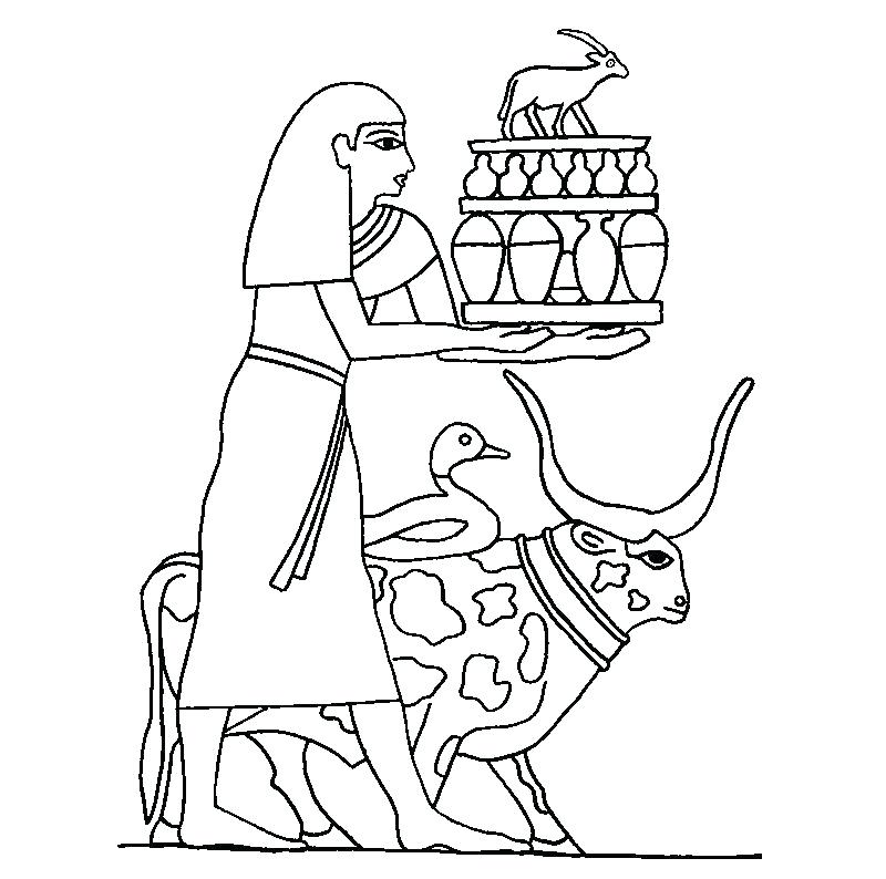 800x794 Cornucopia Coloring Pages Coloring Picture Of Fruits Crafty