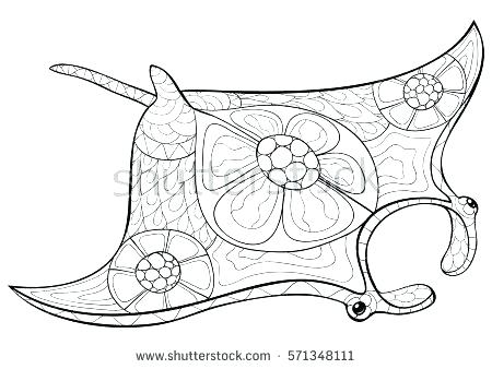 450x338 Corvette Coloring Pages Stingray Coloring Page Stingray Animal