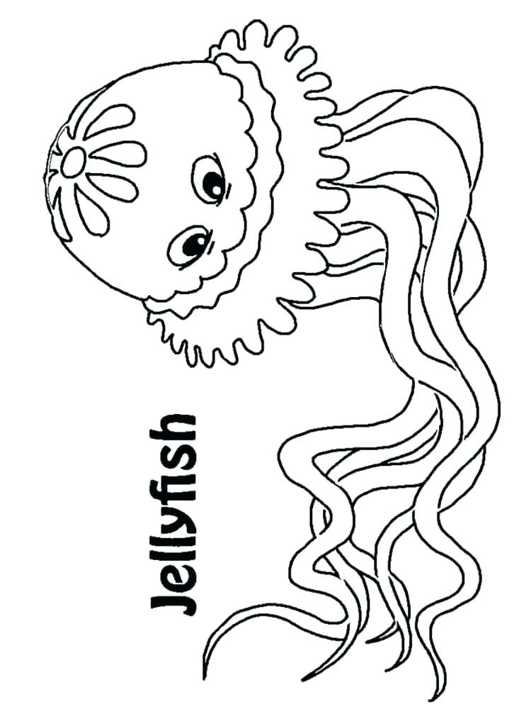 750x1000 Stingray Coloring Page Best Of Water Cycle Coloring Page