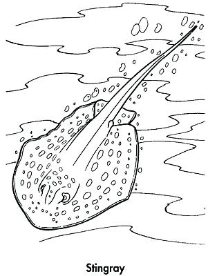 301x400 Stingray Coloring Page Stingray Coloring Page Stingray Coloring