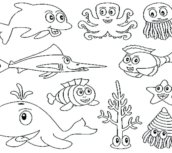 678x600 Stingray Coloring Page Stingray Coloring Pages Stingray Coloring