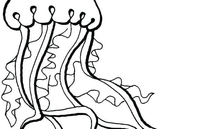 672x425 Corvette Stingray Coloring Pages Printable Coloring Fish Color
