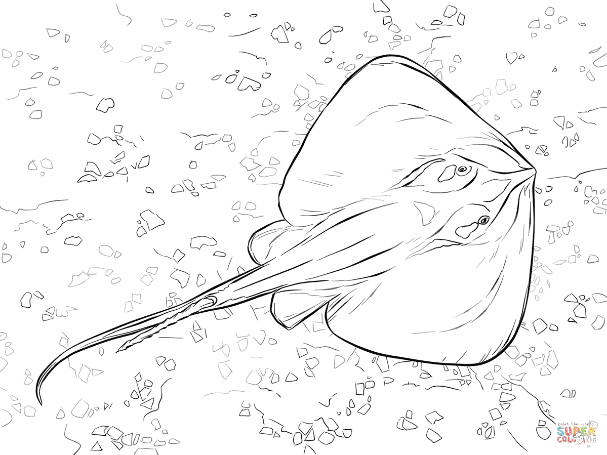 1199x899 Famous Corvette Coloring Pages Printable Photos