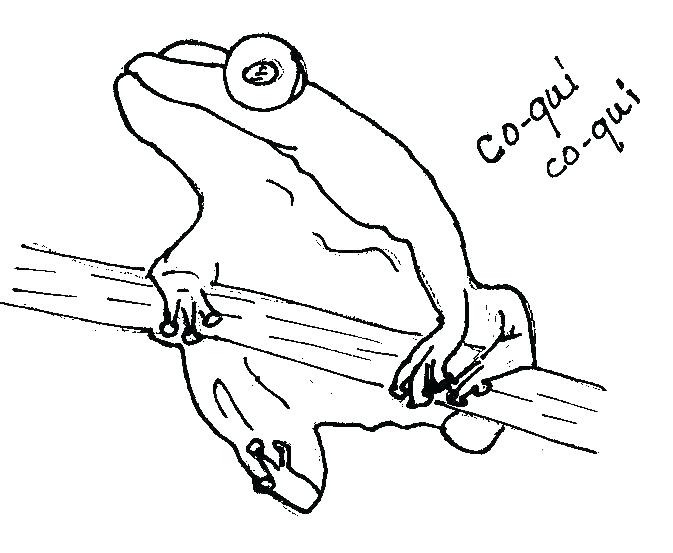 673x553 Costa Rica Flag Coloring Page Flag Coloring Page Flag Coloring