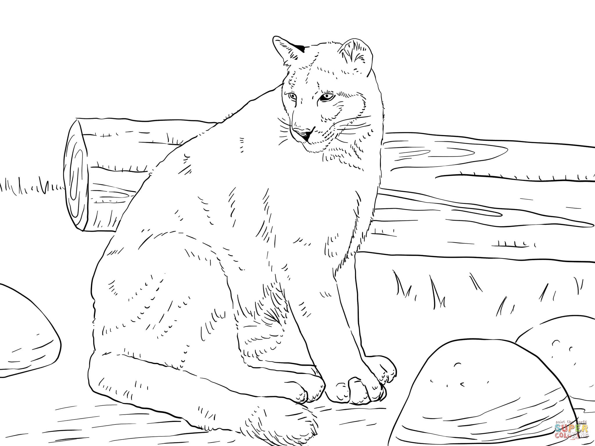 2048x1536 Sitting Cougar Coloring Pages Collection Coloring For Kids 2018