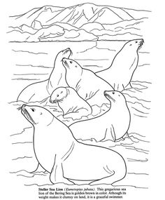 236x285 Puma And Cougar Coloring Pages, Printable Puma And Cougar Coloring
