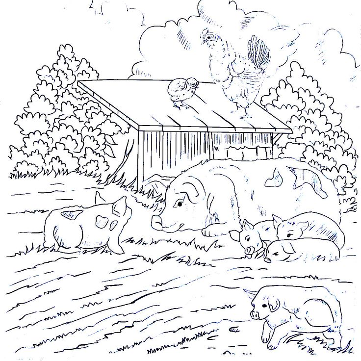 736x736 38 Best Living In The Country Coloring Book Pages Images