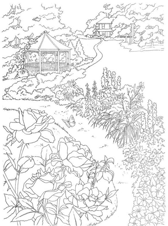 564x758 Pin By Dorota On Coloring Adult Coloring